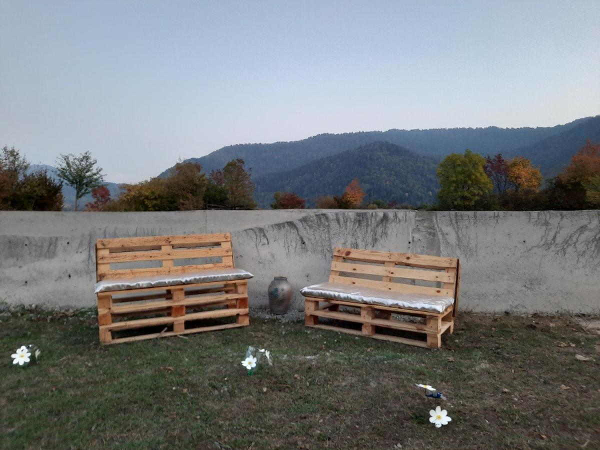 Kesi'S House Villa Borjomi Exterior photo